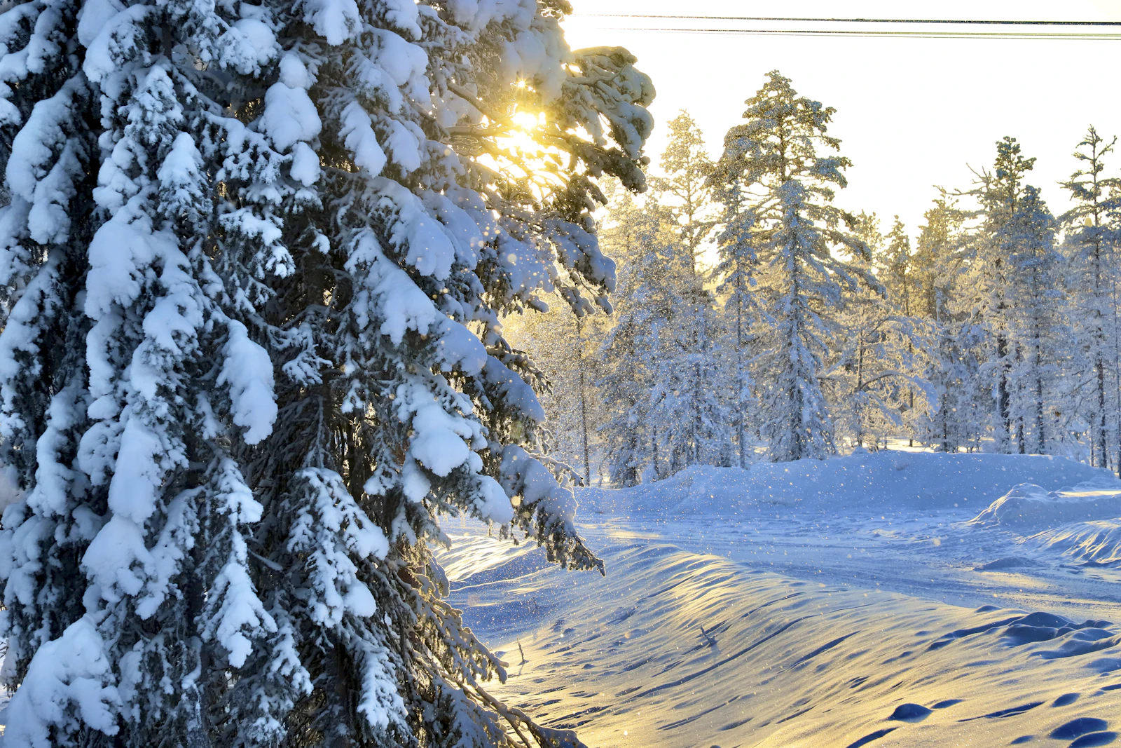 Rovaniemi, Finland photo 19 by 66 north