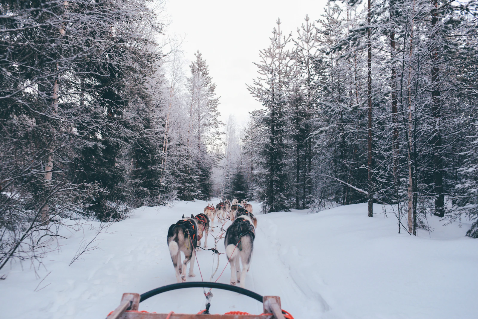 Rovaniemi, Finland photo 3 by fox jia