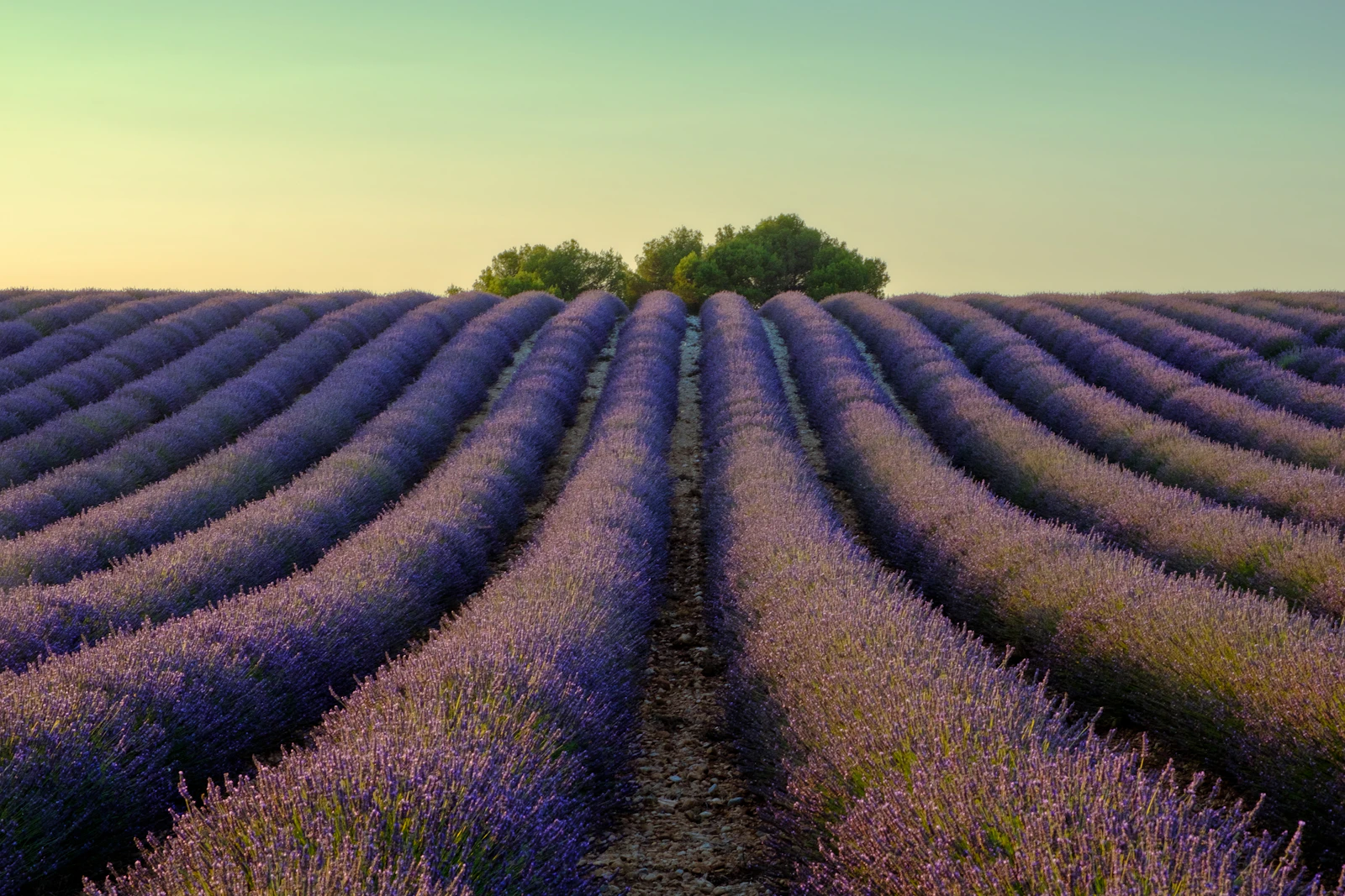 Aix-en-Provence, France photo 5 by Parrish Freeman