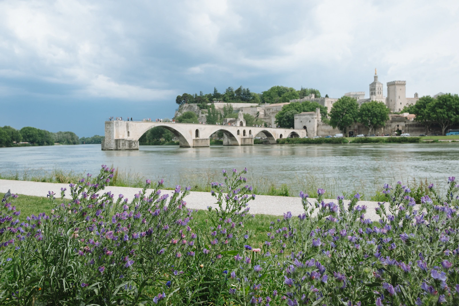 Avignon, France travel photo