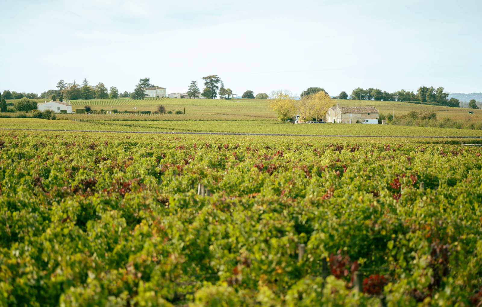 Bordeaux, France photo 17 by Benjamin Esteves