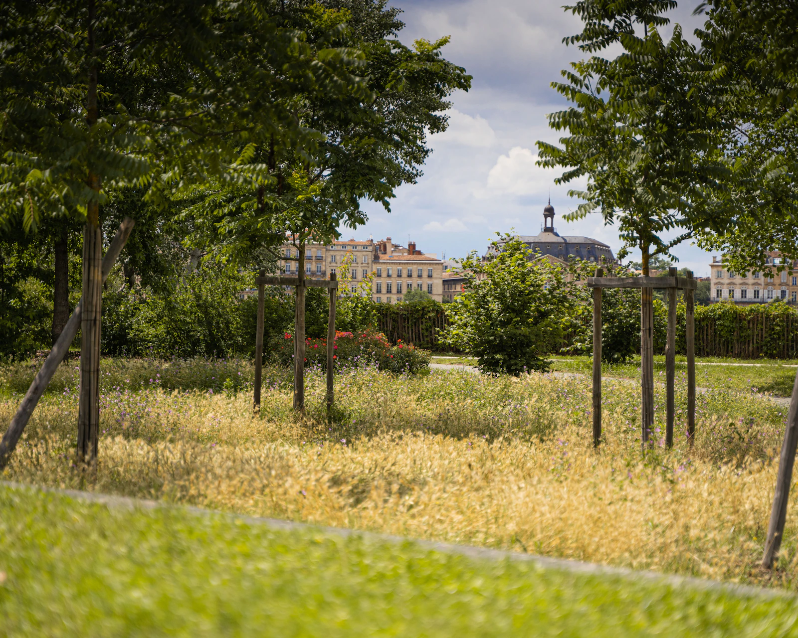 Bordeaux, France photo 29 by Anthony Persegol