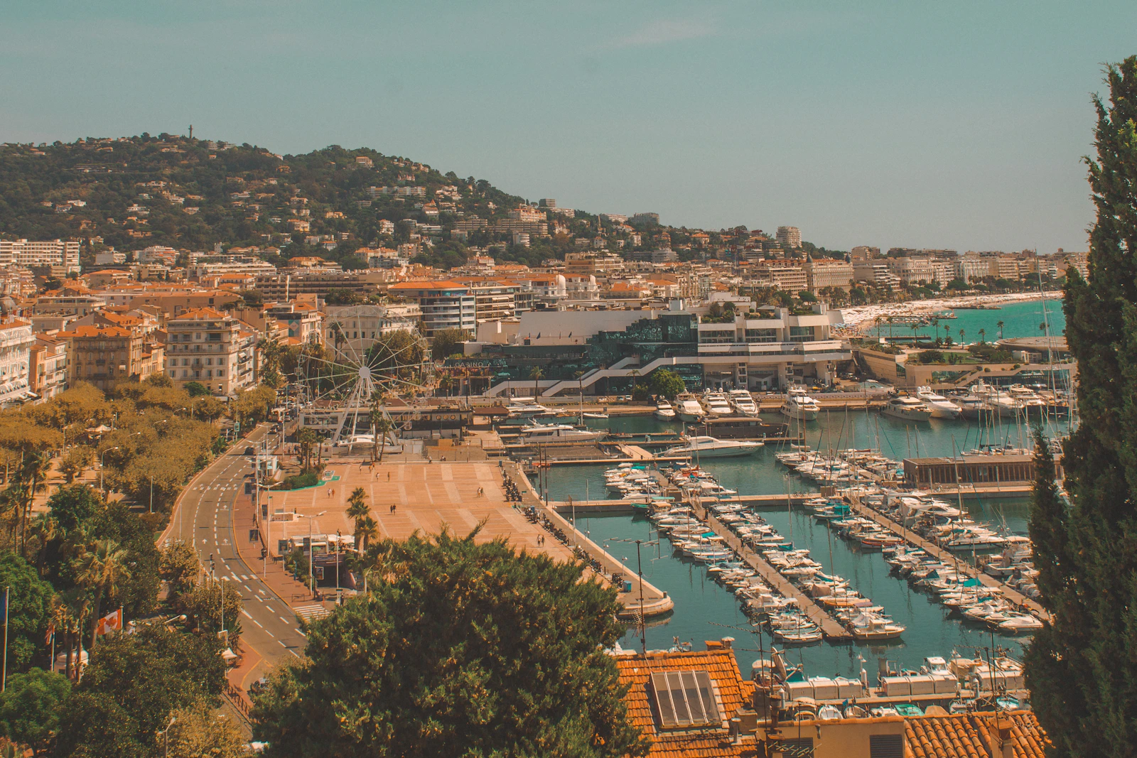 Cannes, France photo 21 by Diane Picchiottino