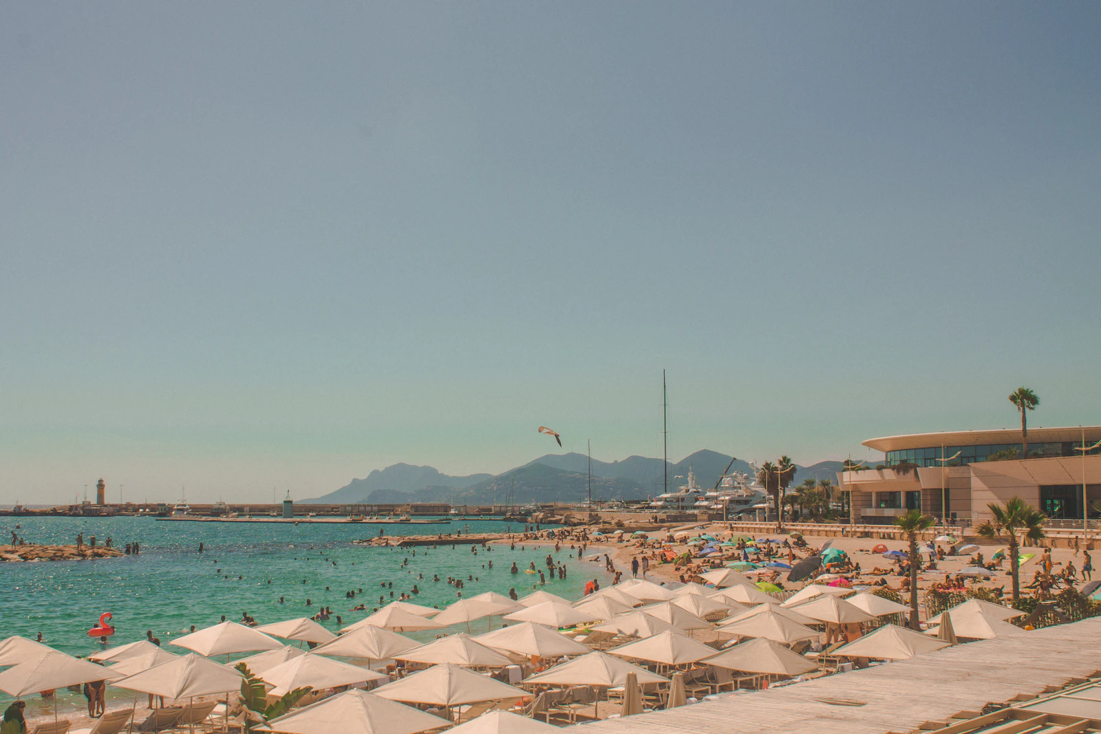 Cannes, France photo 11 by Diane Picchiottino