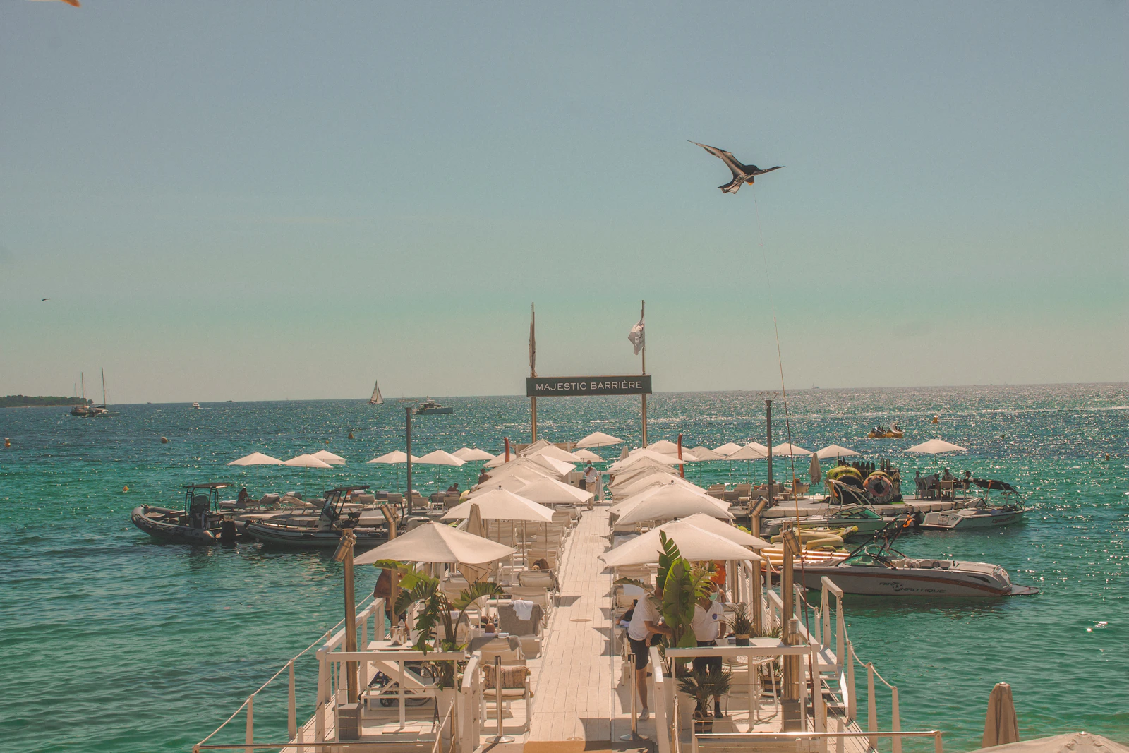 Cannes, France photo 10 by Diane Picchiottino