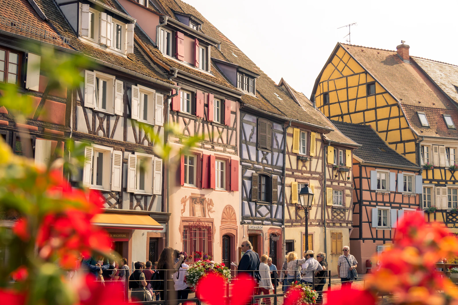 Colmar, France photo 4 by Patrick Robert Doyle