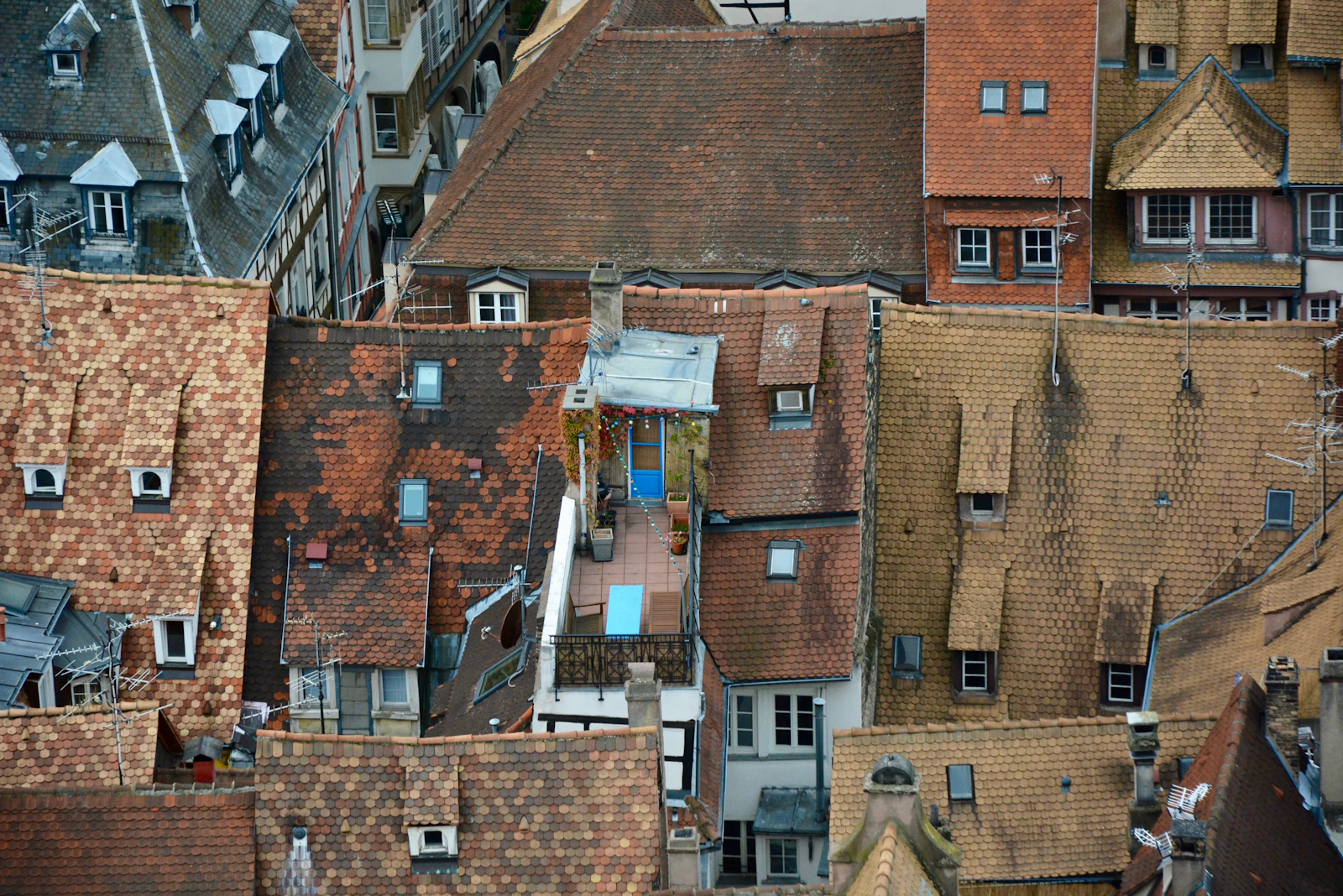 Strasbourg, France photo 18 by Paweł