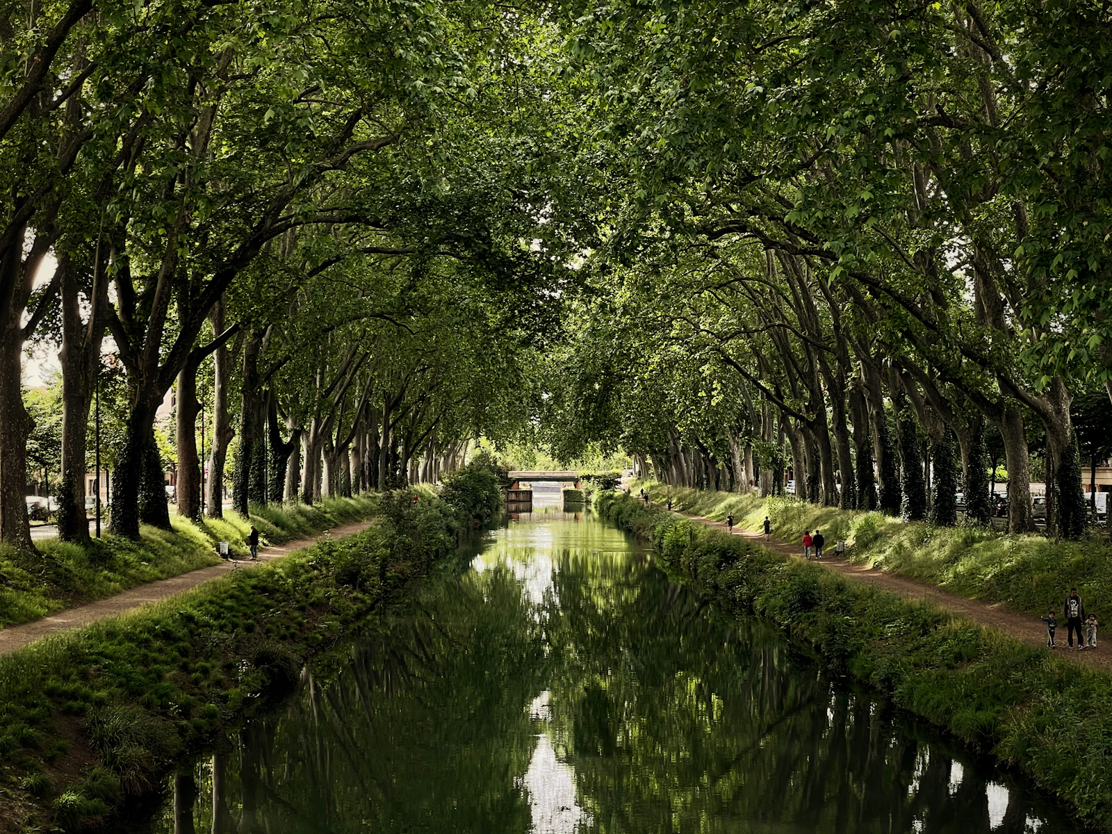 Toulouse, France photo 7 by Nicolas Gaborit