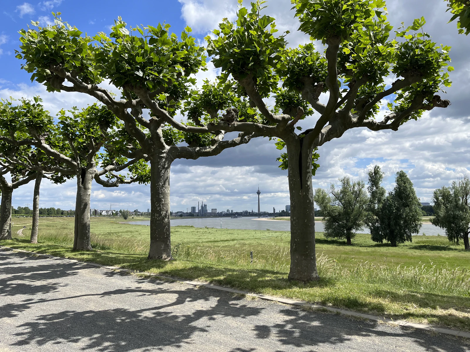 Düsseldorf, Germany photo 5 by Ansgar Sporkmann