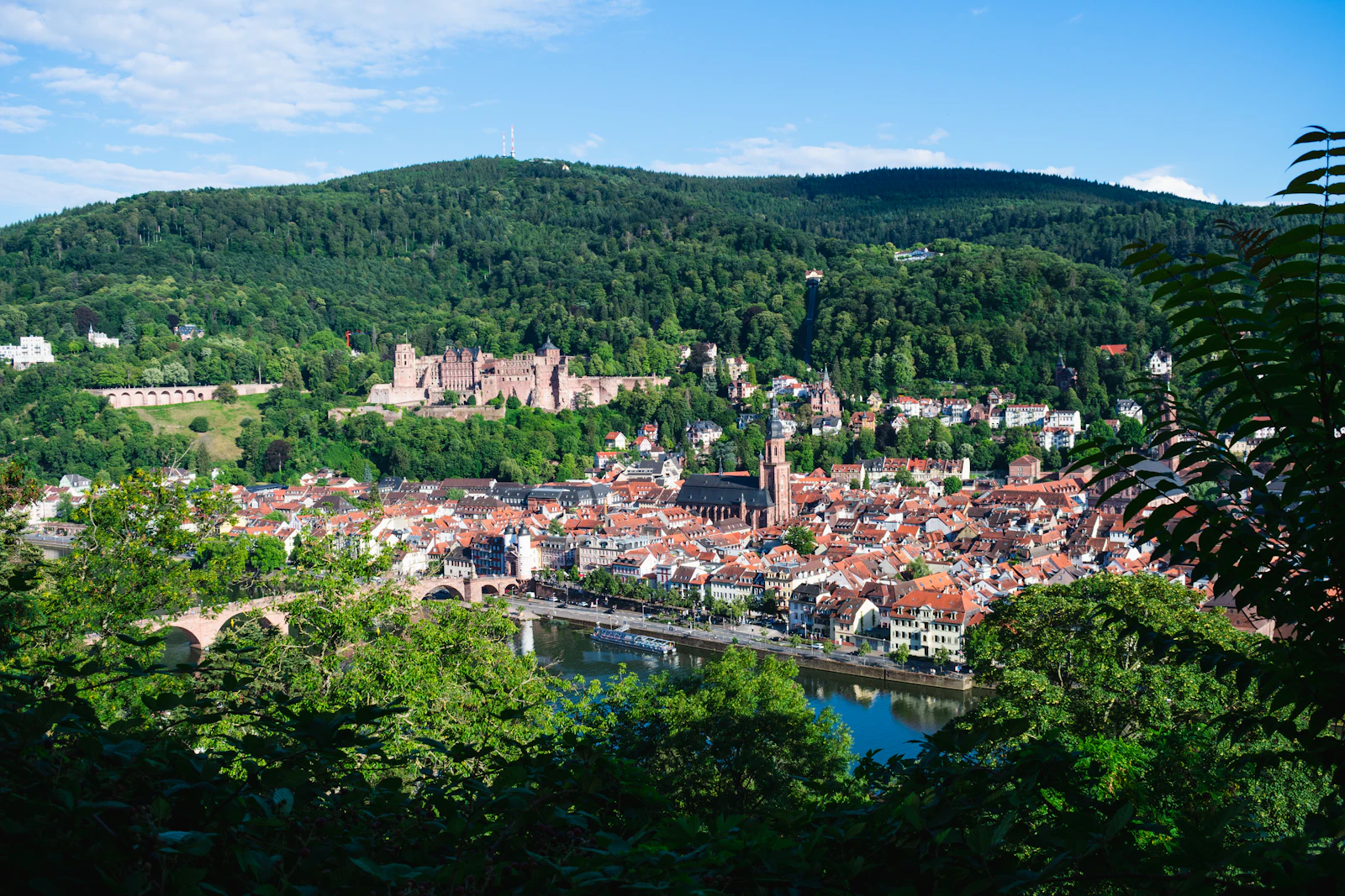 Heidelberg, Germany photo 17 by Mateo Krossler