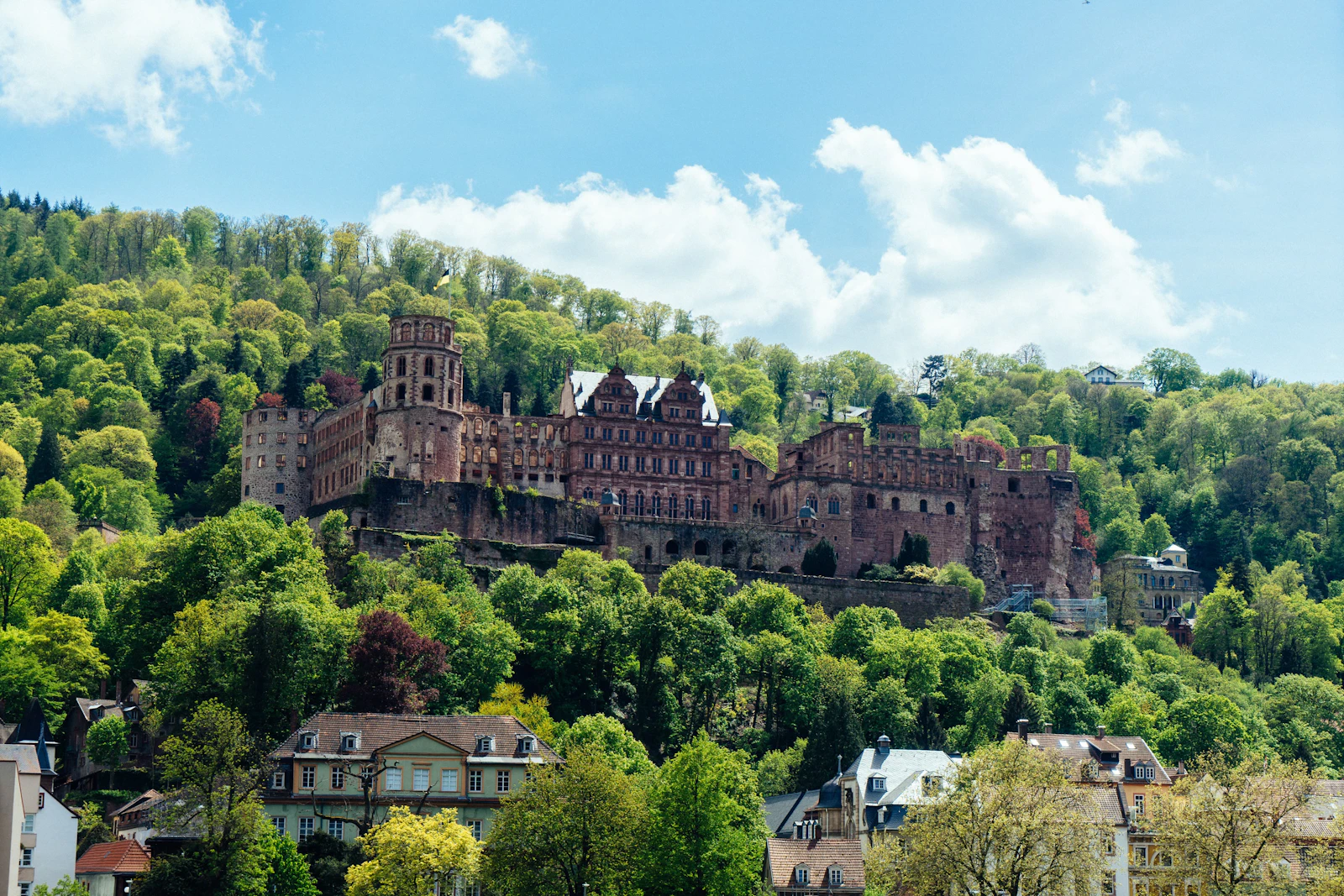 Heidelberg, Germany photo 15 by Sebastian Jacobsen