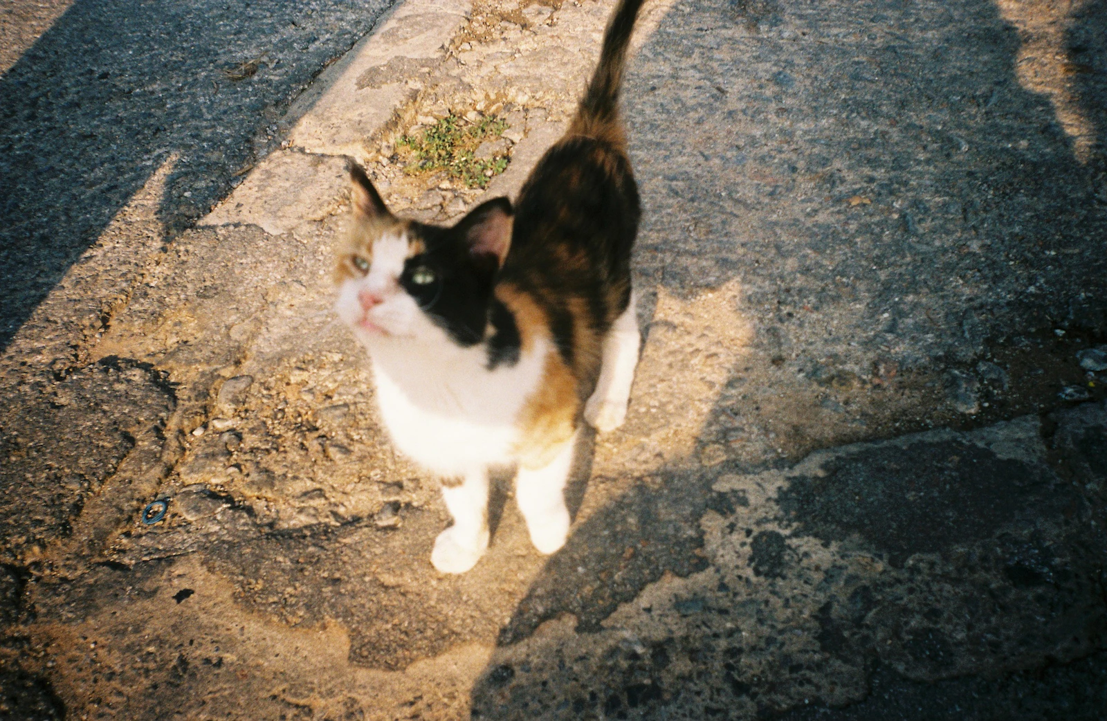 Chania, Greece photo 4 by Polina Abramova