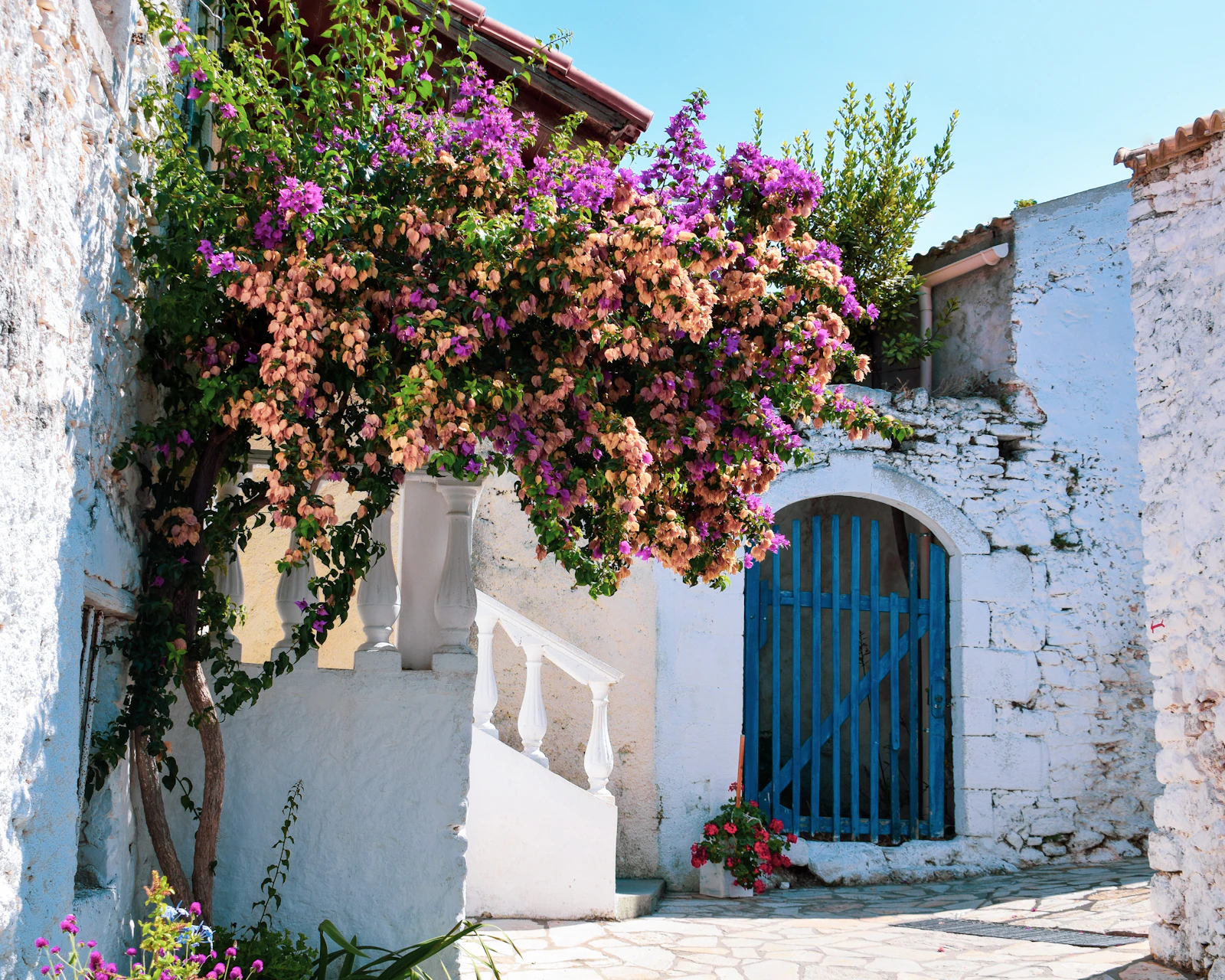 Corfu, Greece photo 12 by Chris