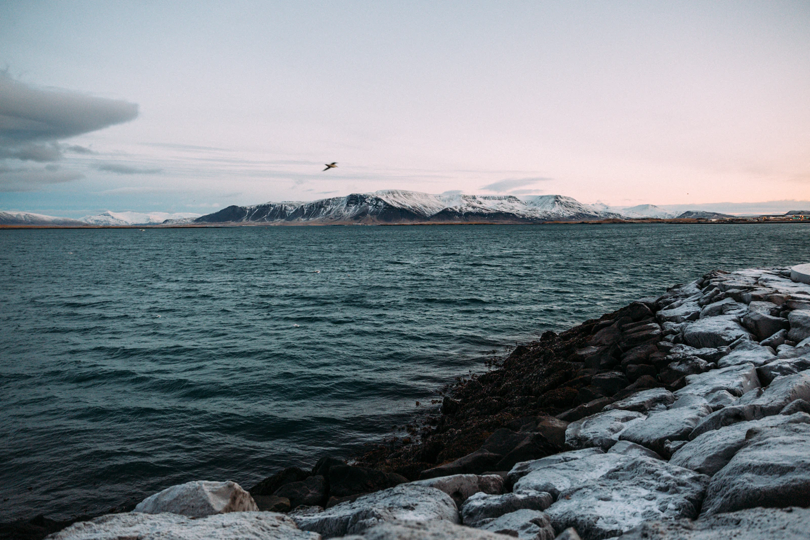 Reykjavik, Iceland photo 28 by feipeng yi