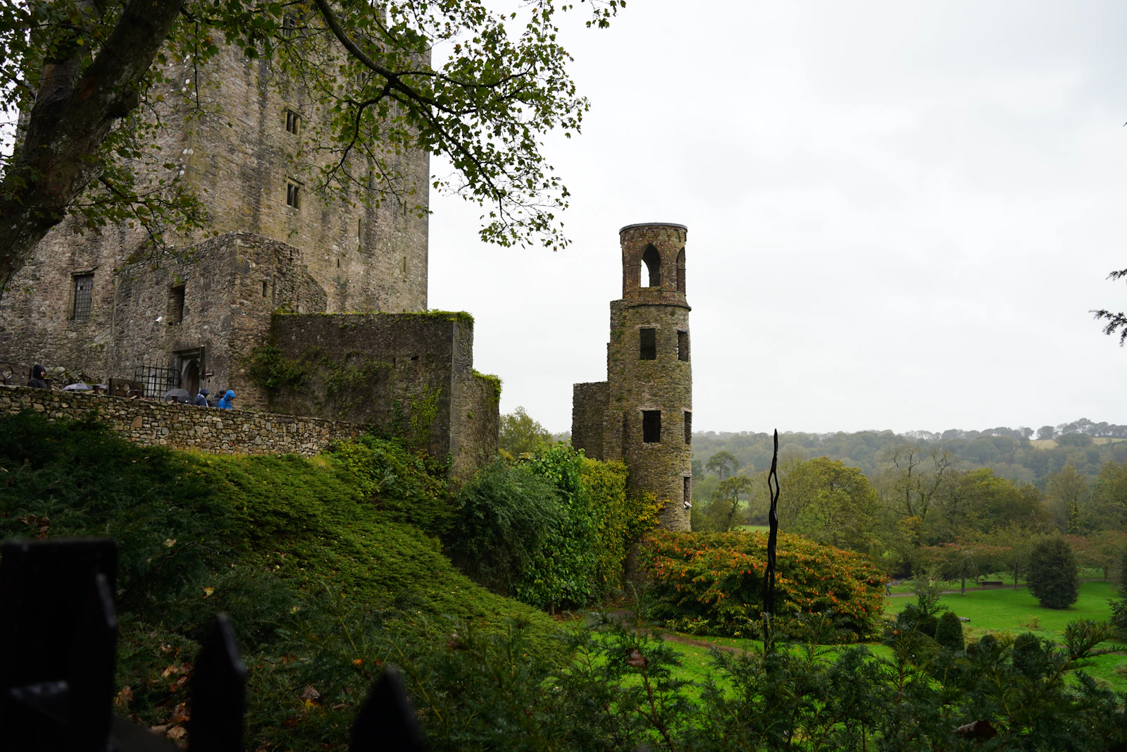Cork, Ireland photo 20 by Ellen Capener