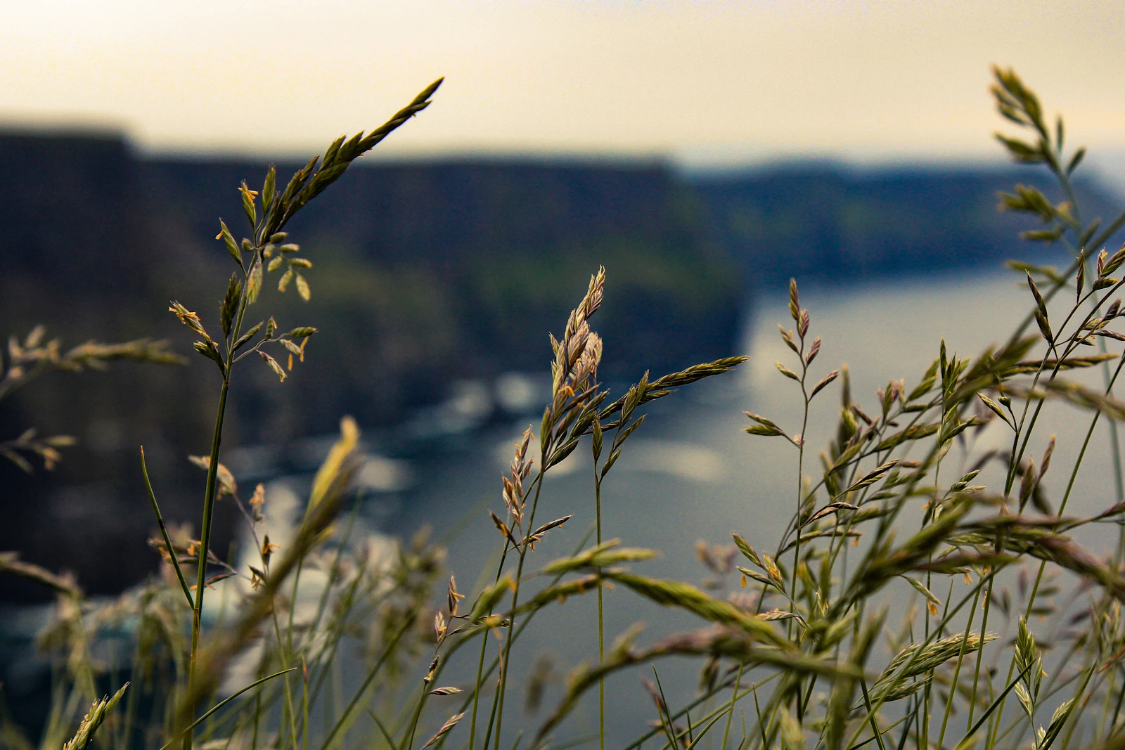 Cork, Ireland photo 19 by Connor Misset
