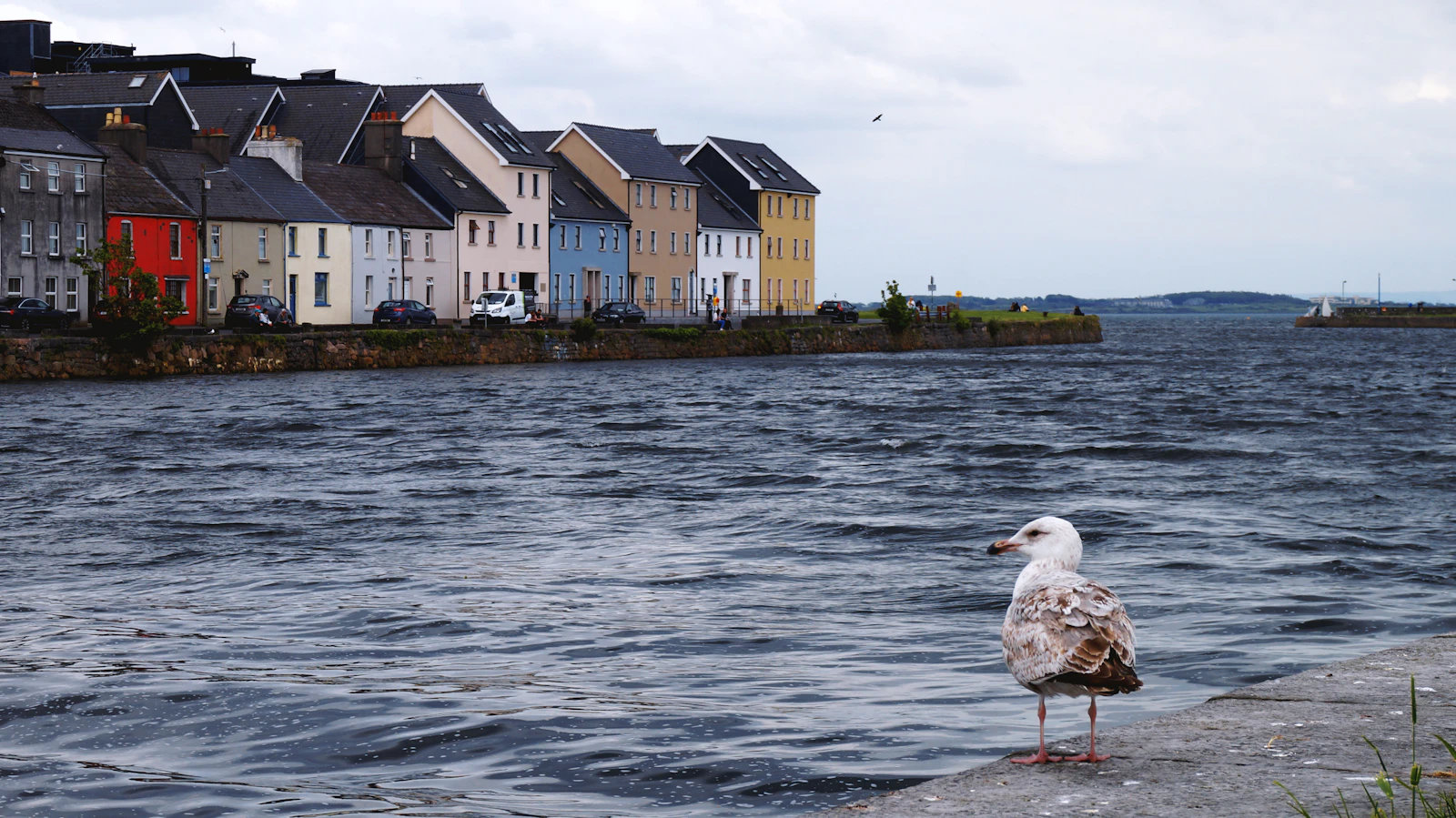 Galway, Ireland photo 9 by Alex Houque