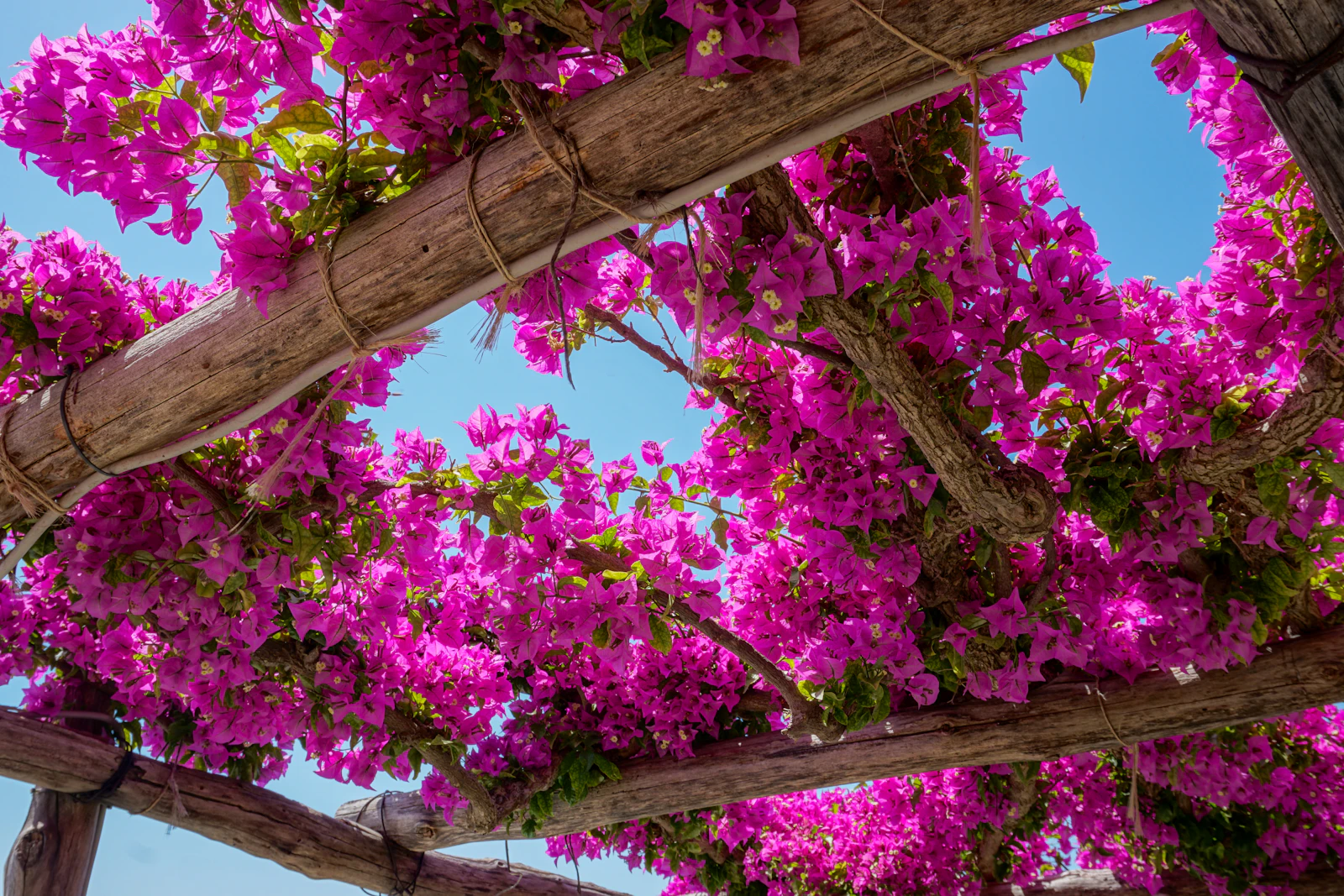 Amalfi, Italy photo 30 by Hannah Dowers