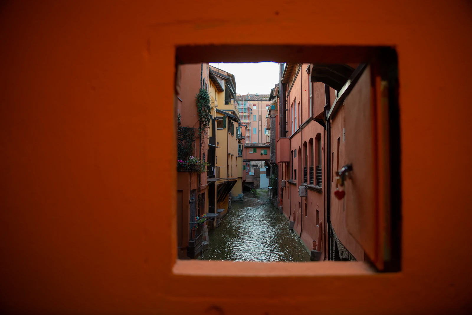 Bologna, Italy photo 15 by Ryan Ladd