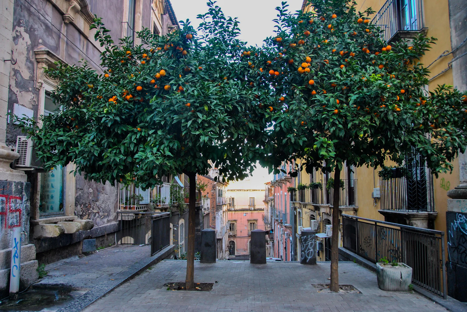 Catania, Italy photo 15 by Anna Cavigioli