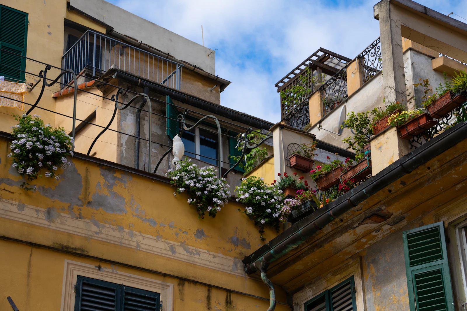 Genoa, Italy photo 18 by Niklas Haiden