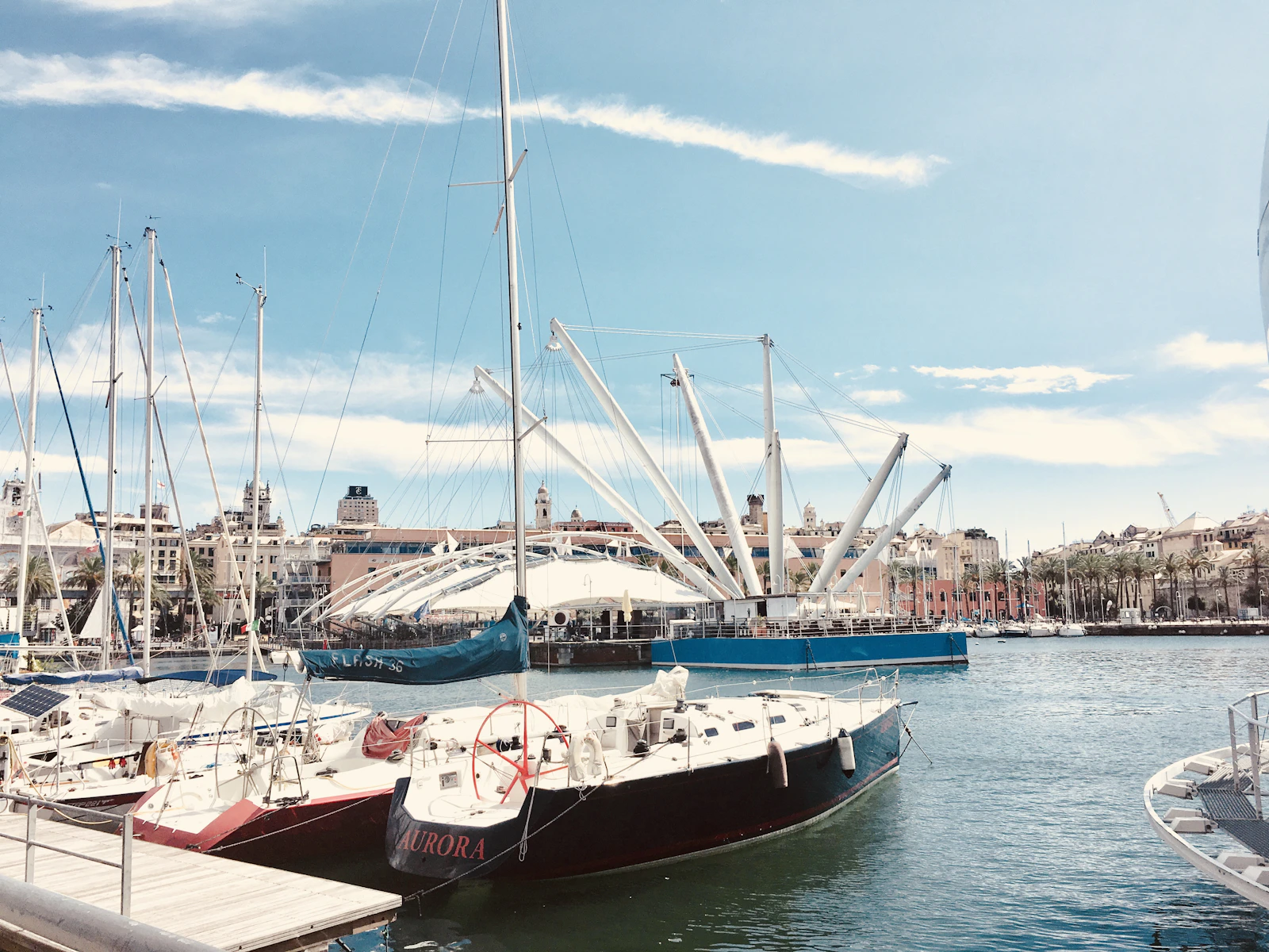 Genoa, Italy photo 4 by Erin Doering