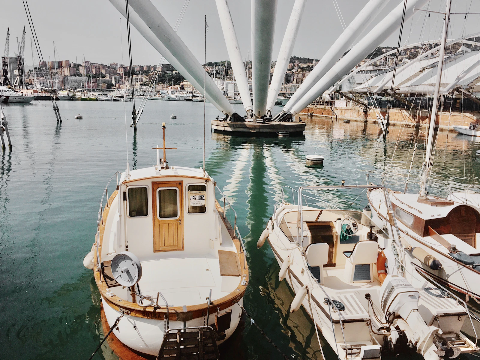 Genoa, Italy photo 13 by Erin Doering