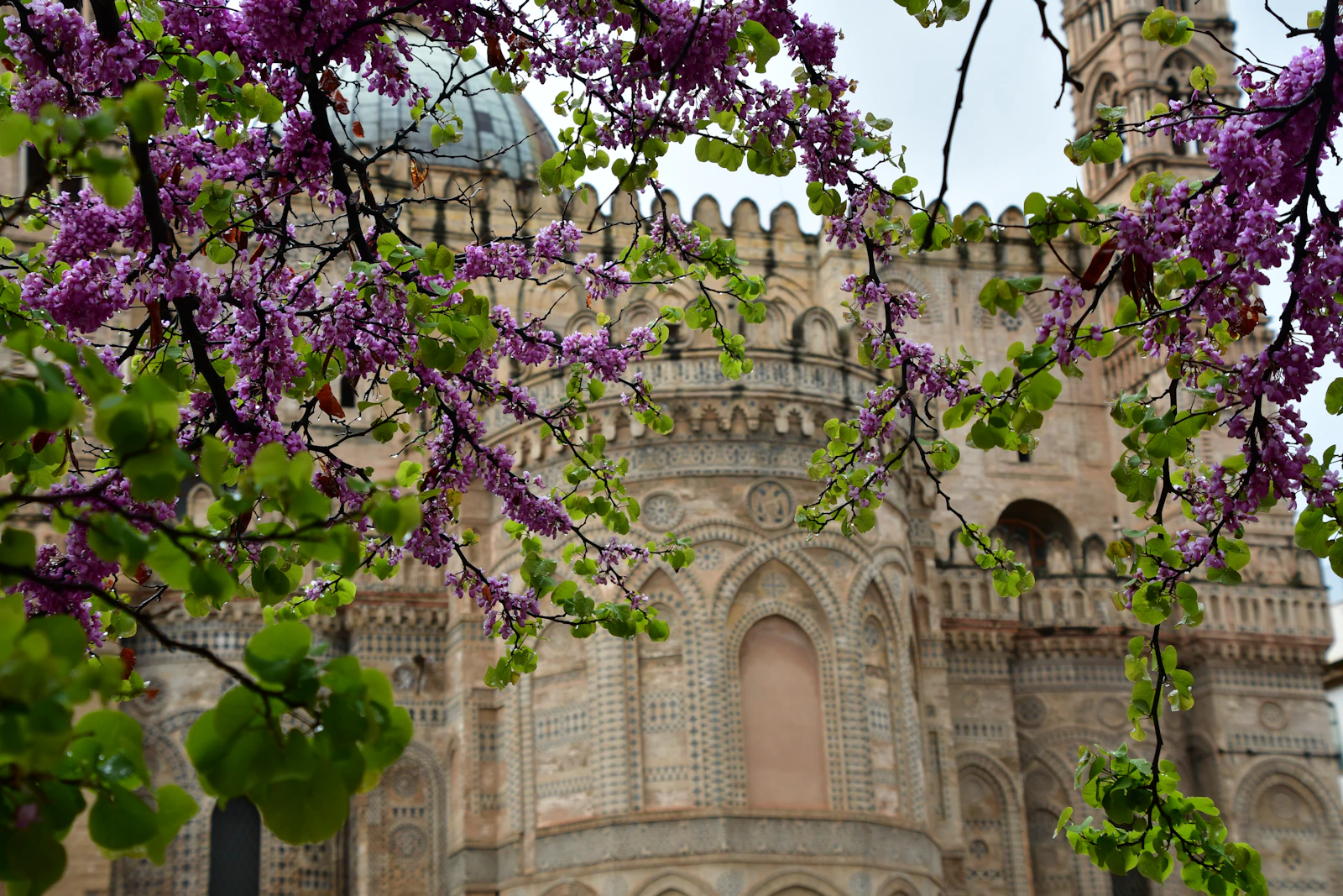 Palermo, Italy photo 29 by SnapSaga