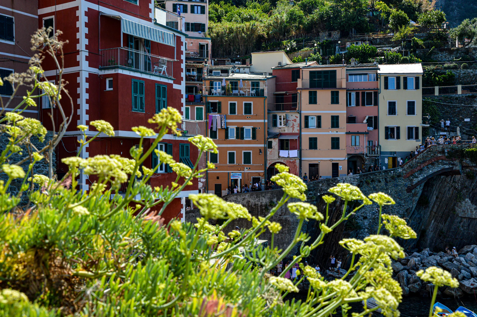Riomaggiore, Italy photo 26 by Emin Huric