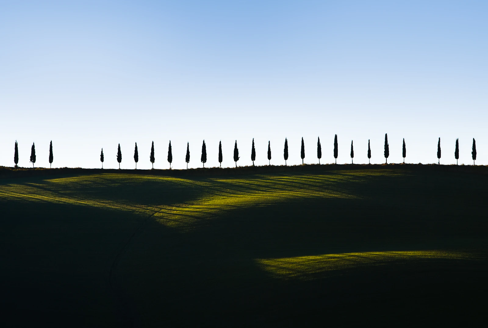 Siena, Italy photo 4 by Jack Seeds