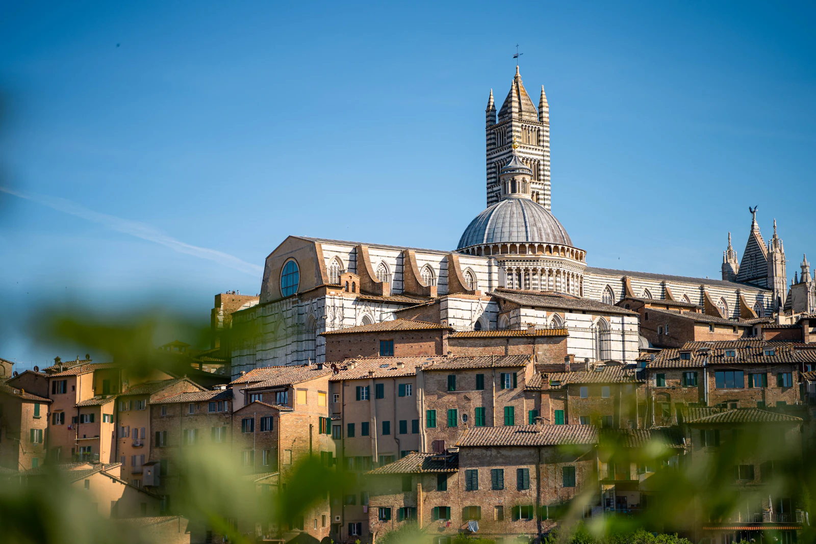 Siena, Italy photo 30 by Alessandro Stech