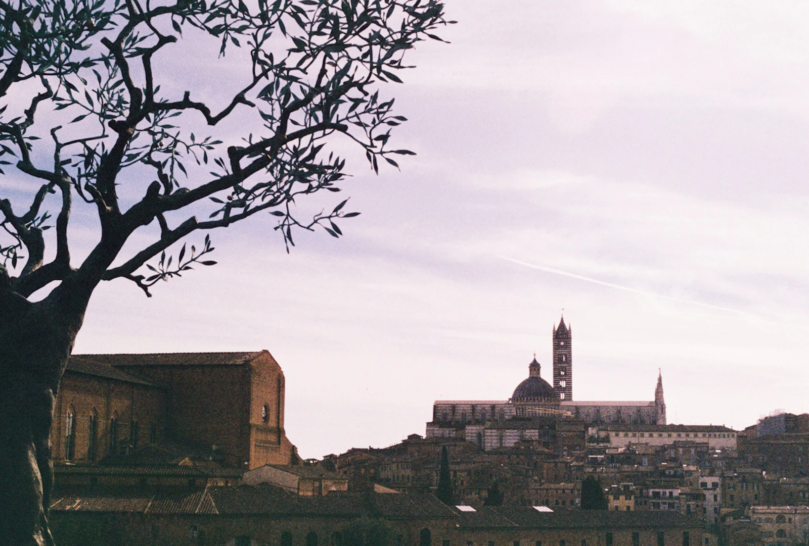 Siena, Italy photo 18 by Denis