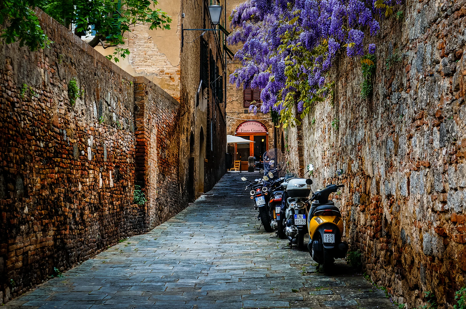 Siena, Italy photo 25 by Peter Mitchell