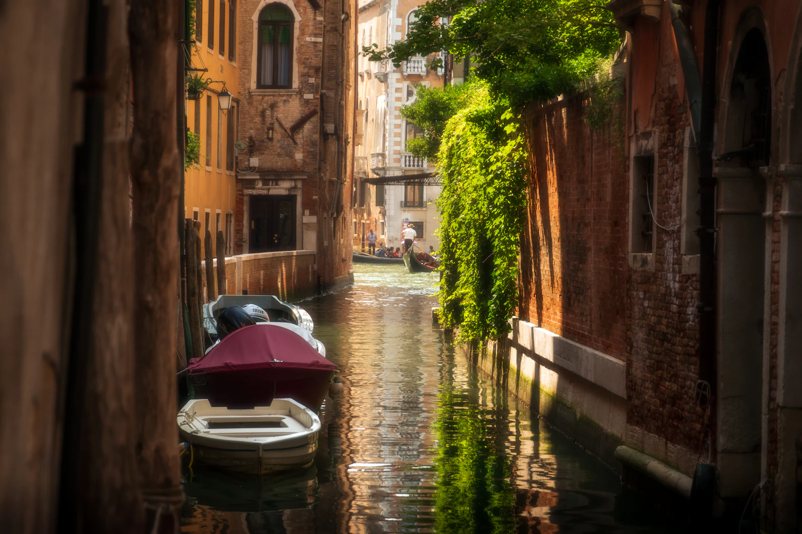 Venice, Italy photo 30 by Tyler Scheviak