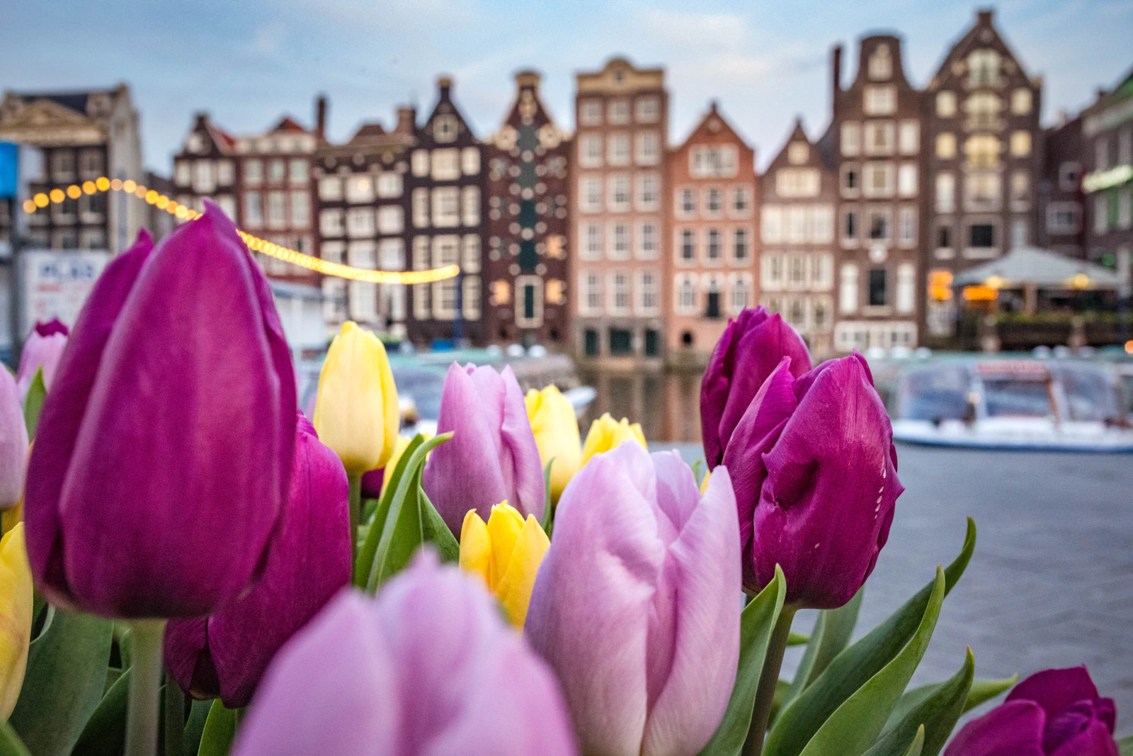 Amsterdam, Netherlands photo 9 by Catalina Fedorova