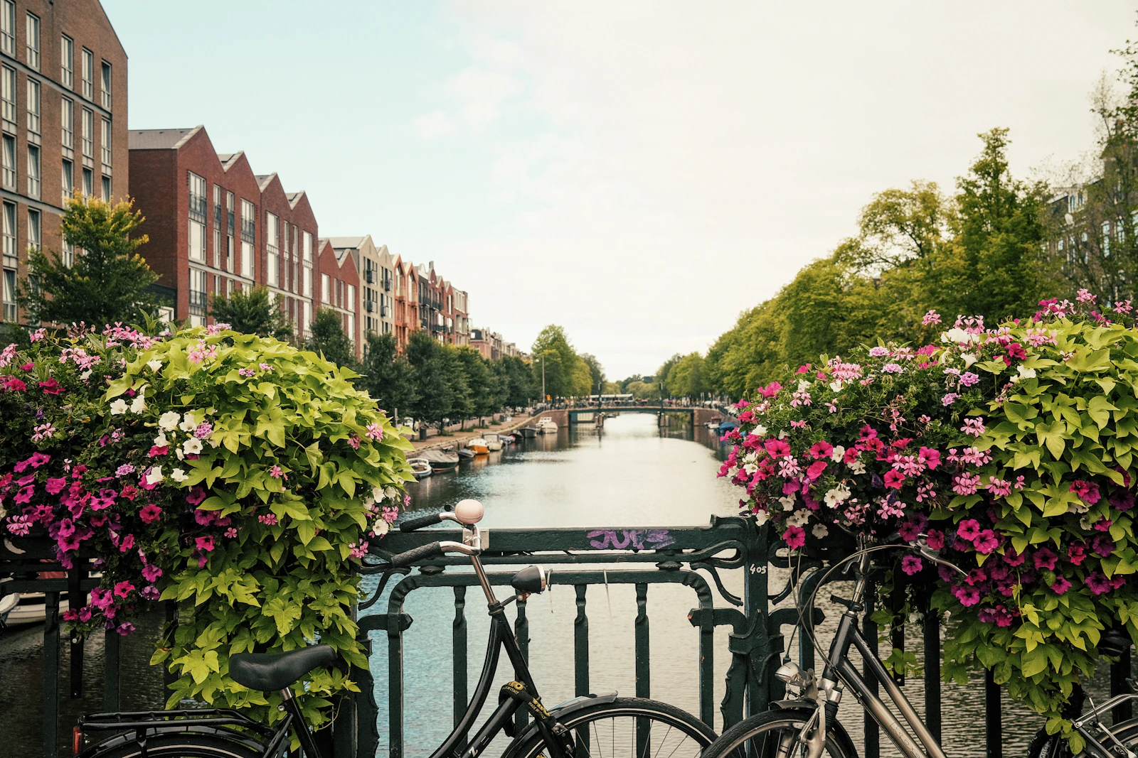 Amsterdam, Netherlands photo 27 by Matt Davey