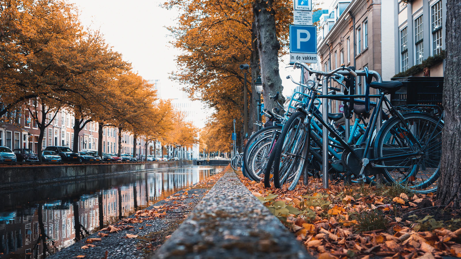 The Hague, Netherlands photo 21 by Richard Andhika