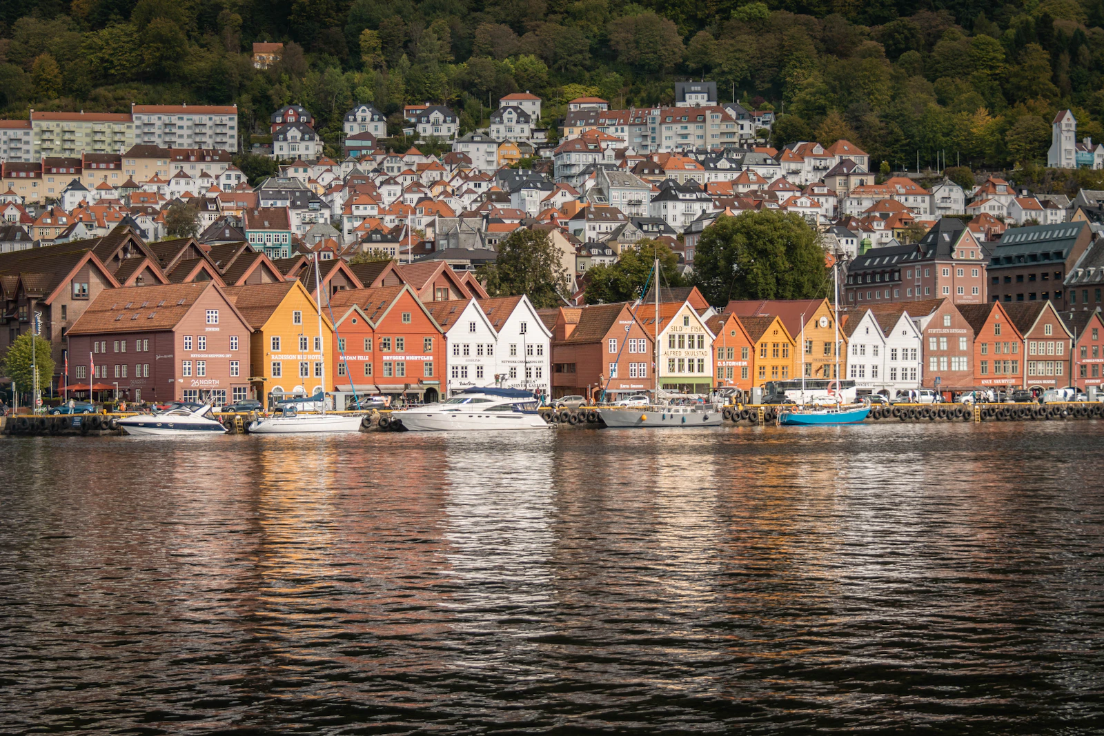 Bergen, Norway photo 26 by Alessandra Renda