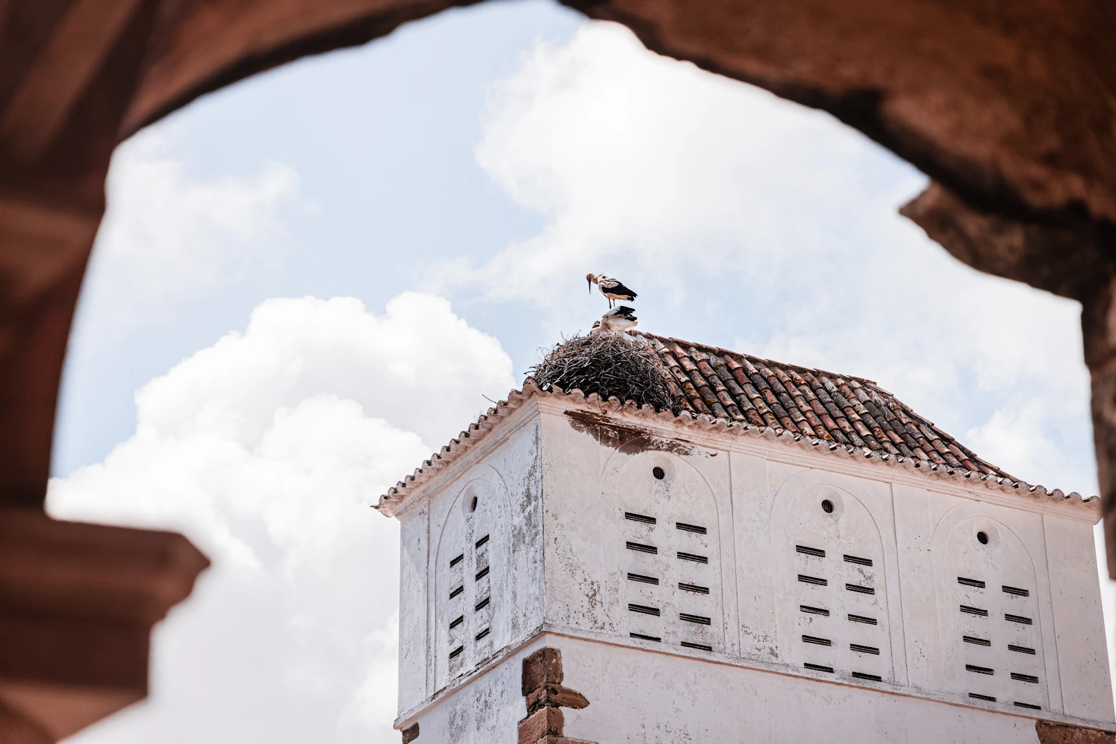 Faro, Portugal photo 27 by micheile henderson