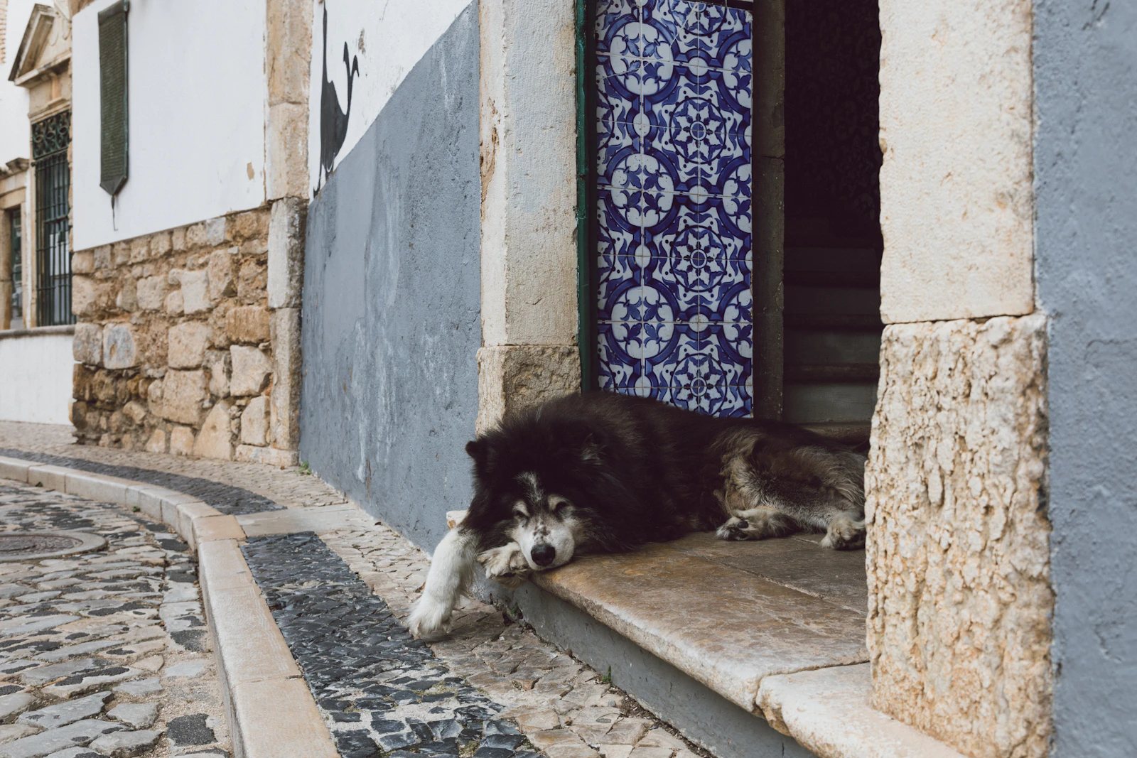 Faro, Portugal photo 26 by KOBU Agency