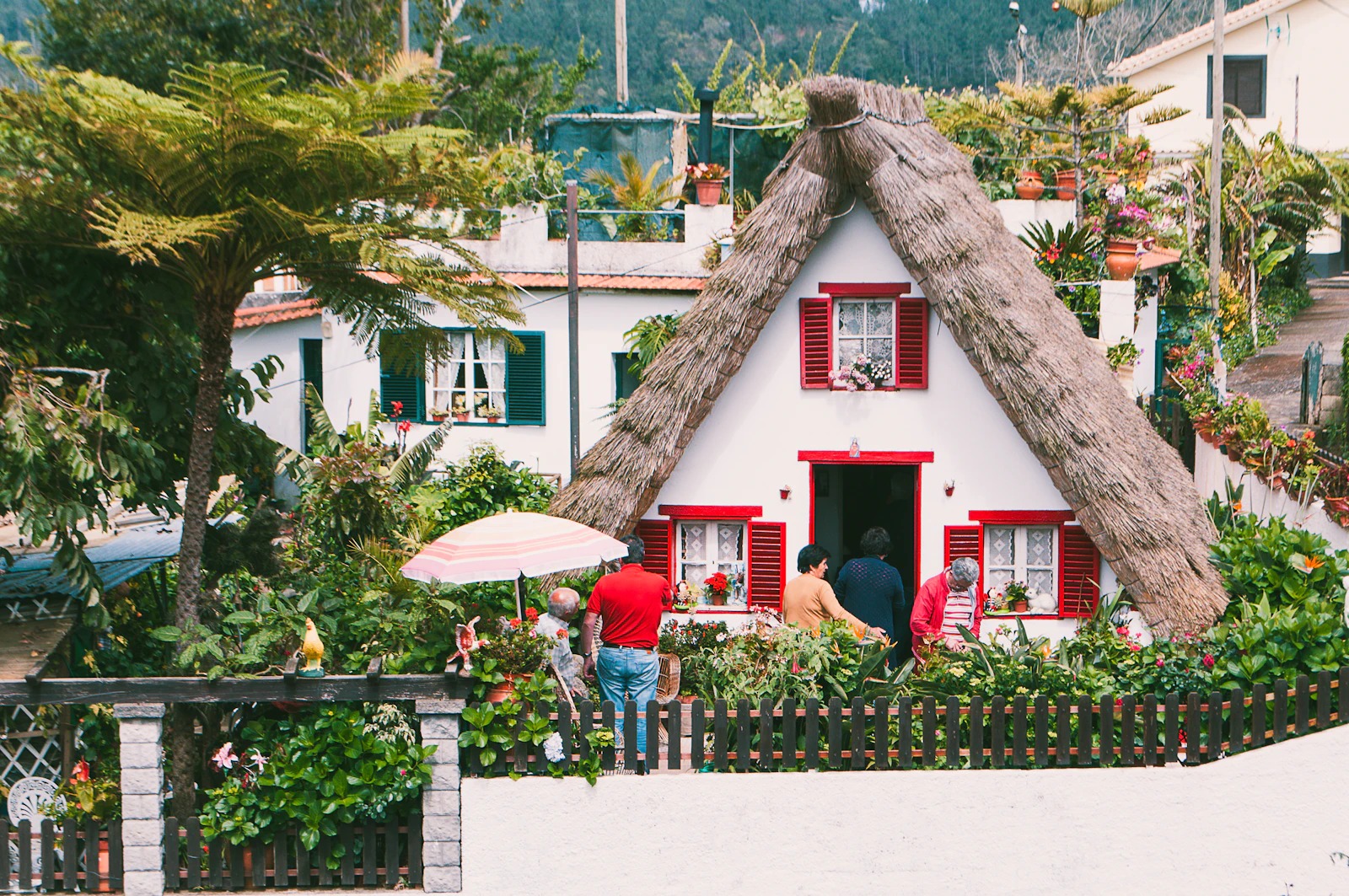 Funchal, Portugal photo 5 by Martha Dominguez de Gouveia