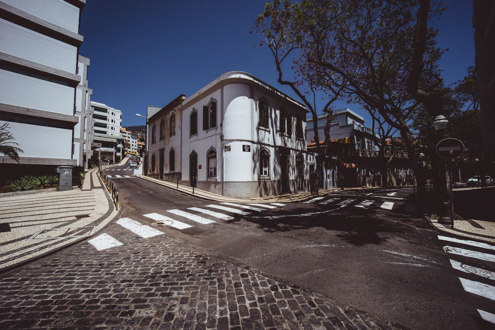 Funchal, Portugal photo 27 by Timon Reinhard