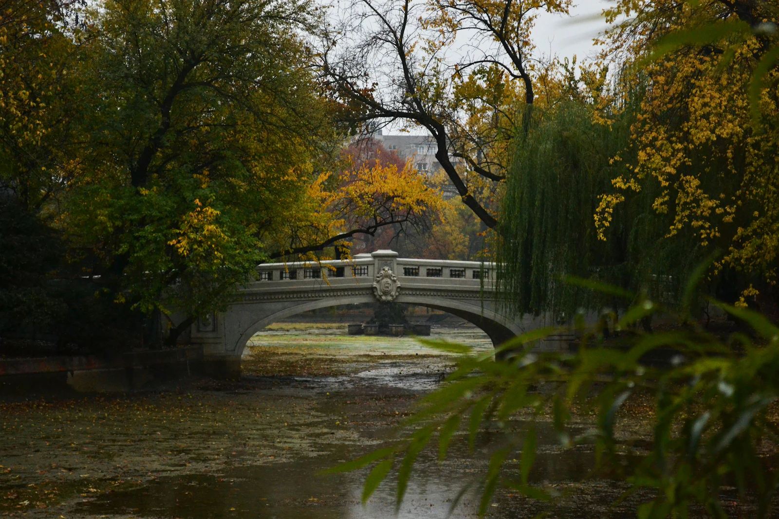 Bucharest, Romania photo 19 by Reggie Tmin