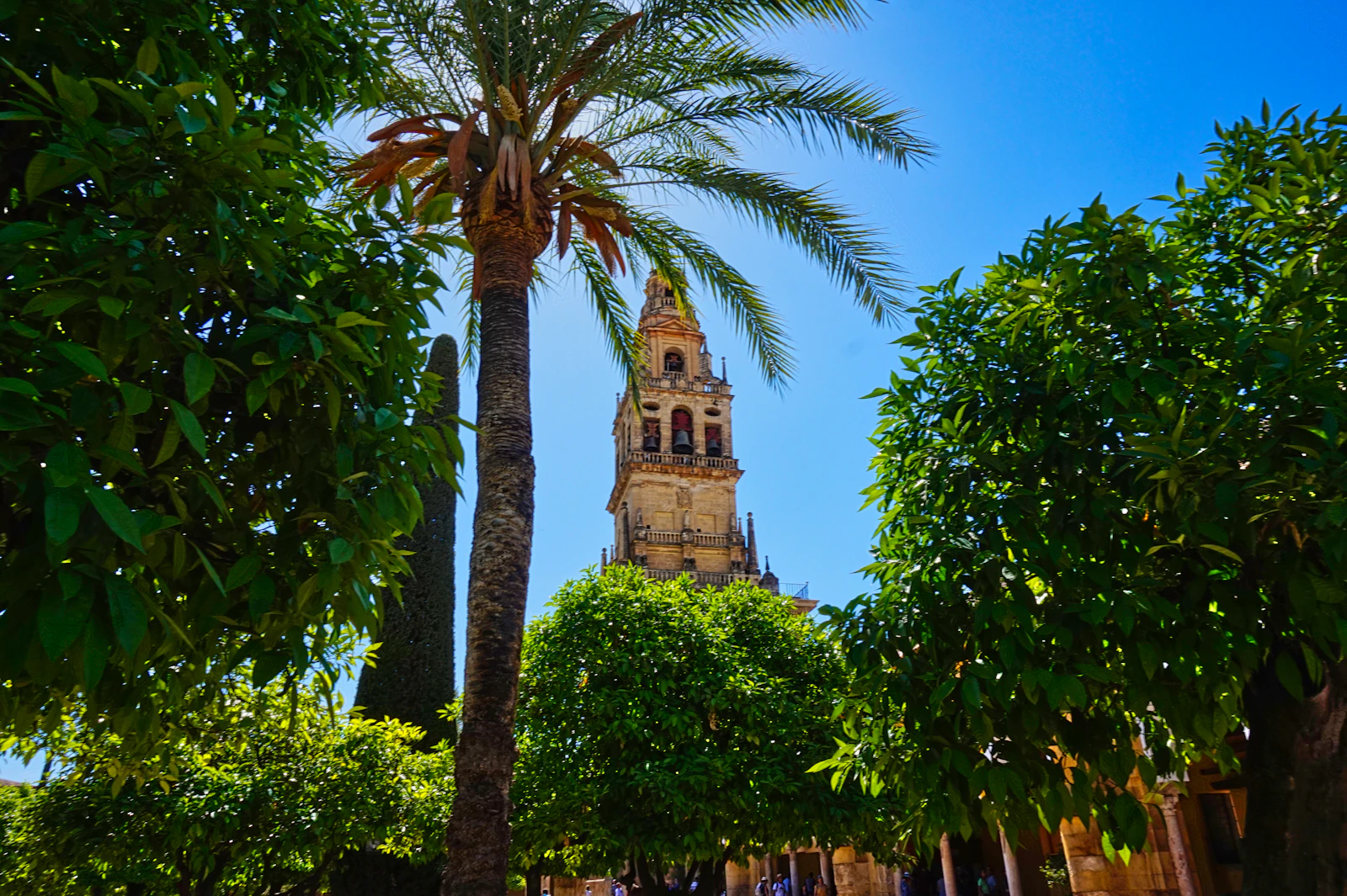 Córdoba, Spain photo 28 by Christian Hergesell
