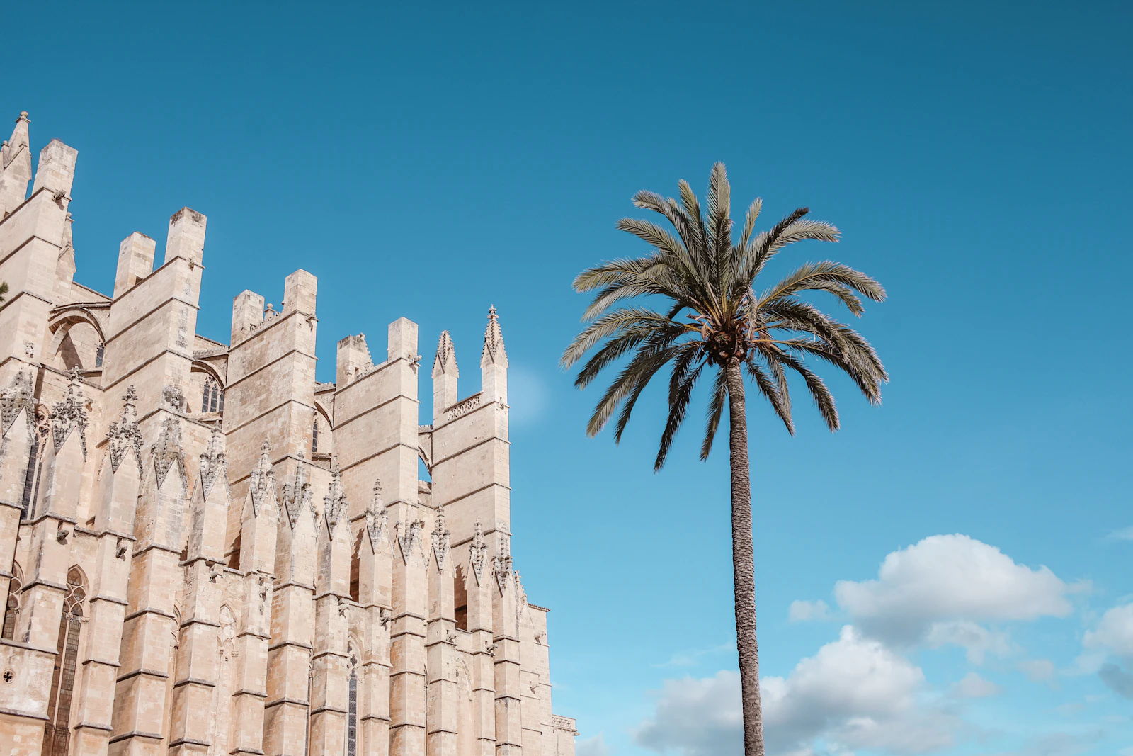 Las Palmas de Gran Canaria, Spain photo 3 by Anqi Lu