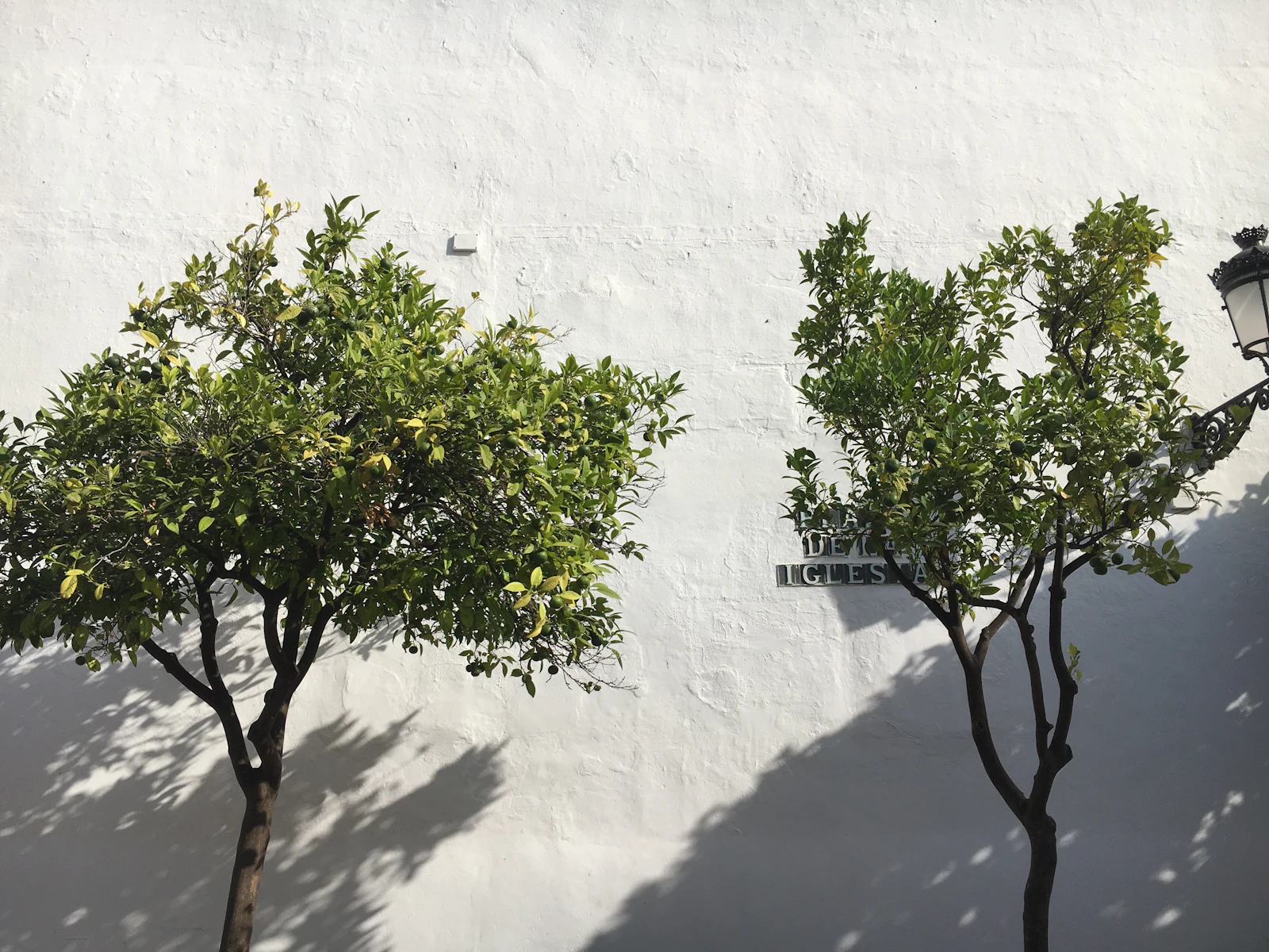 Marbella, Spain photo 13 by Artturi Jalli