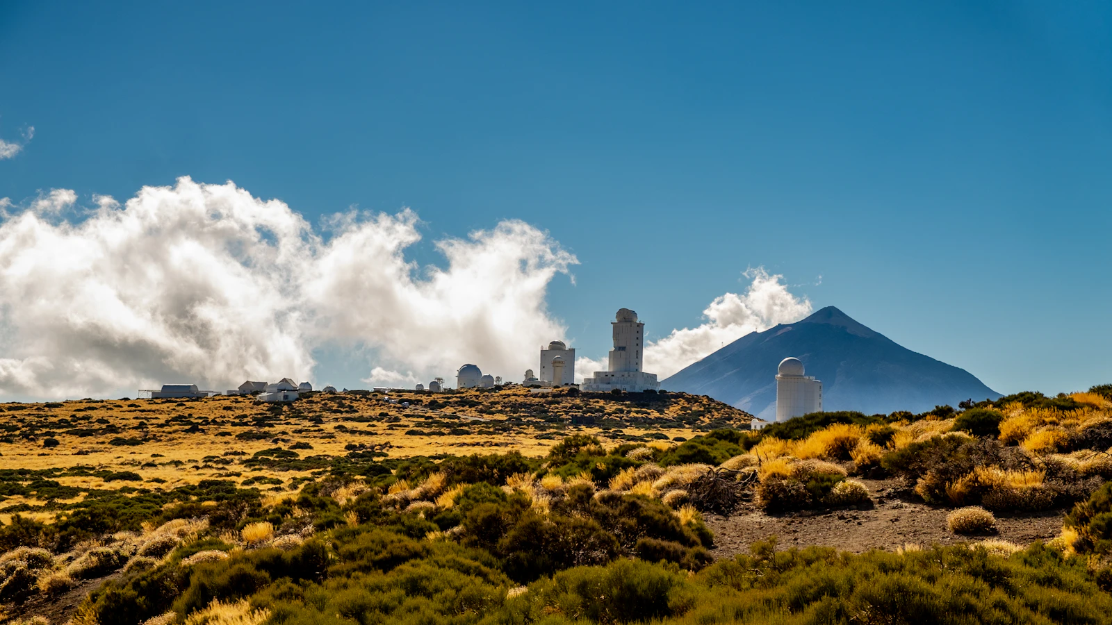 Santa Cruz de Tenerife, Spain photo 5 by Elijah G