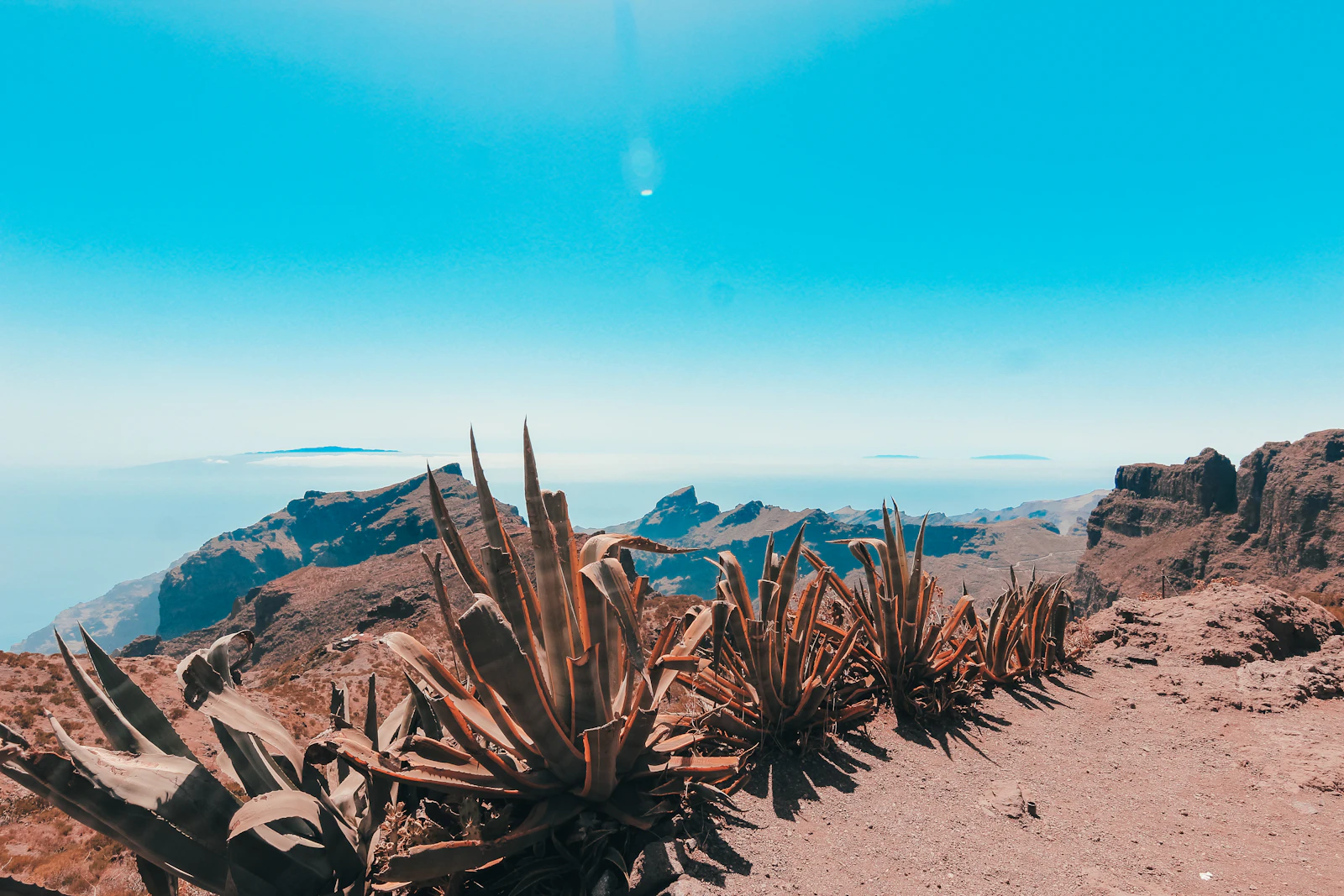 Santa Cruz de Tenerife, Spain photo 4 by Miltiadis Fragkidis