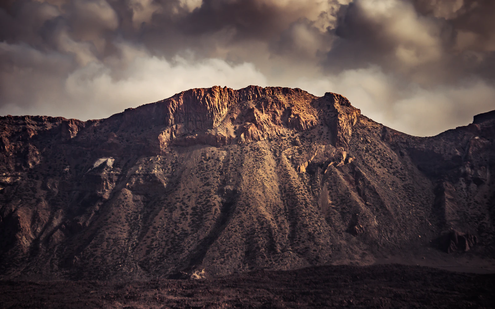 Santa Cruz de Tenerife, Spain photo 18 by Marek Piwnicki