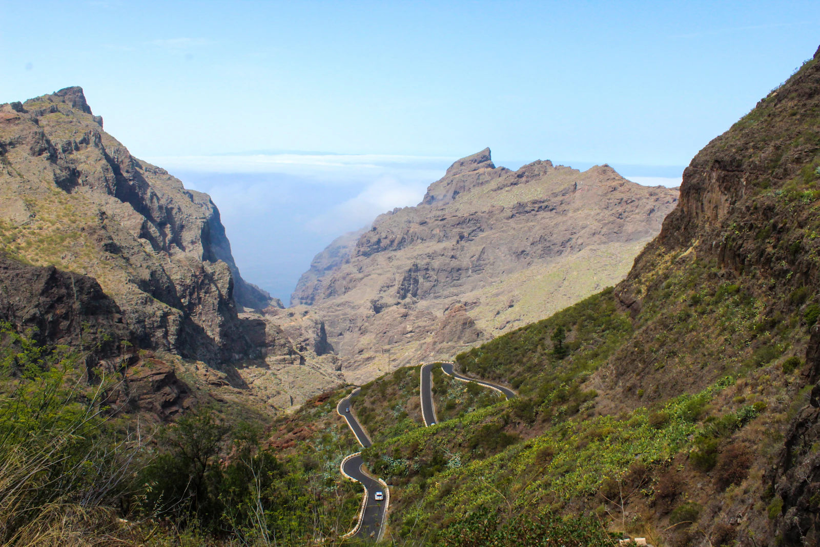 Santa Cruz de Tenerife, Spain photo 16 by Iulia Laslea